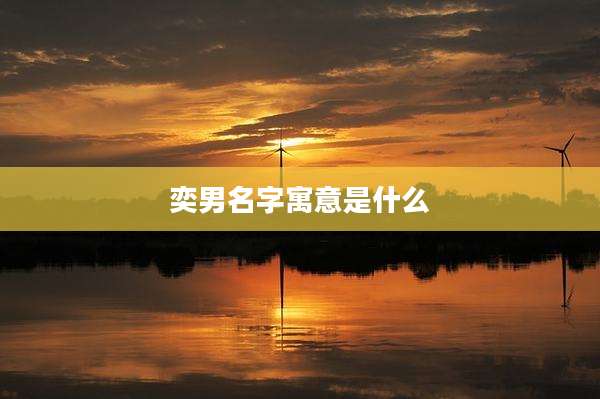 奕男名字寓意是什么