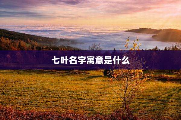 七叶名字寓意是什么