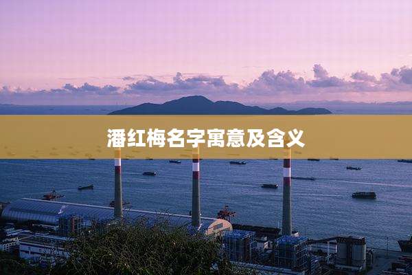 潘红梅名字寓意及含义