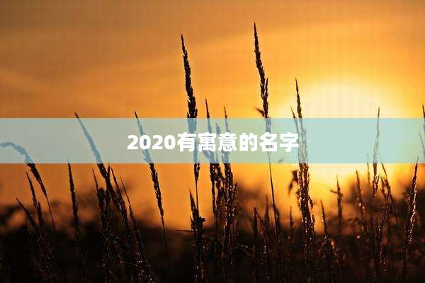 2020有寓意的名字