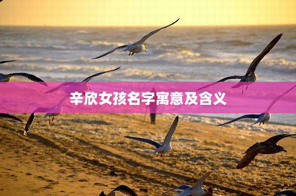 辛欣女孩名字寓意及含义