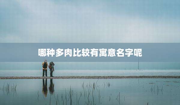 哪种多肉比较有寓意名字呢