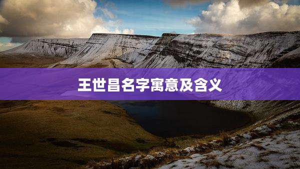 王世昌名字寓意及含义