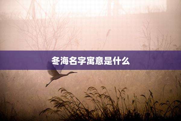 冬海名字寓意是什么