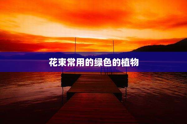 花束常用的绿色的植物