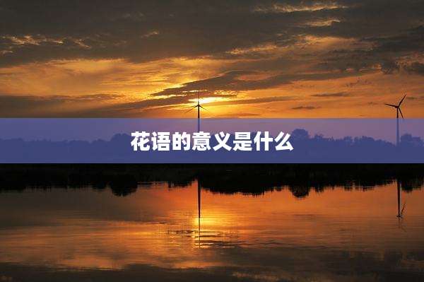 花语的意义是什么