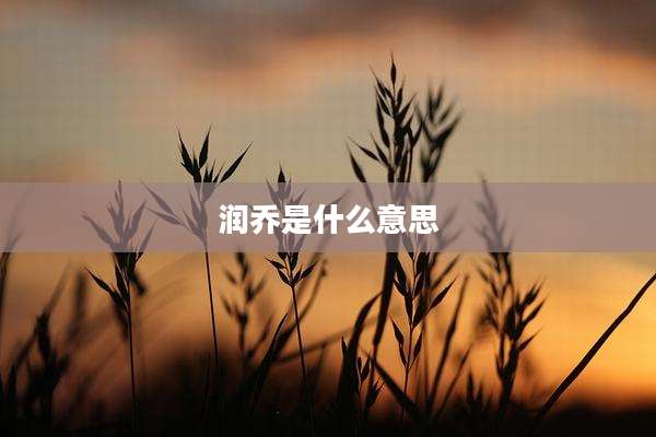 润乔是什么意思