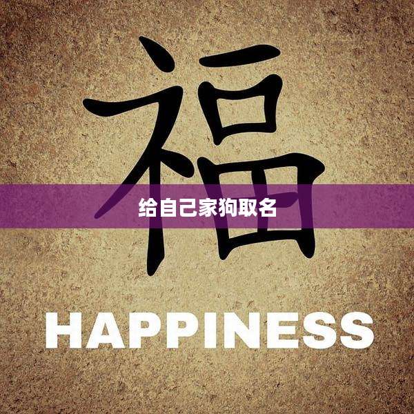给自己家狗取名