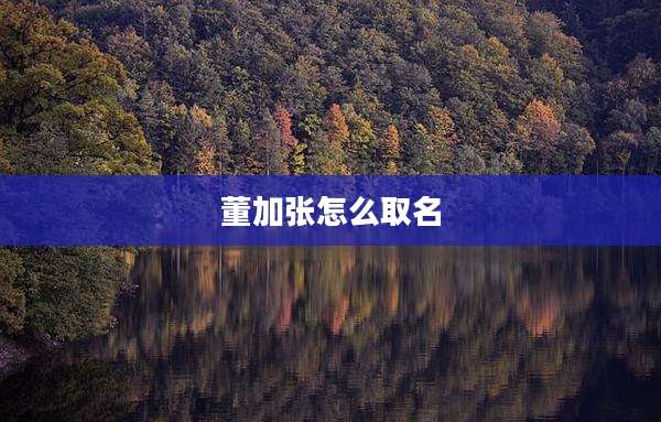 董加张怎么取名