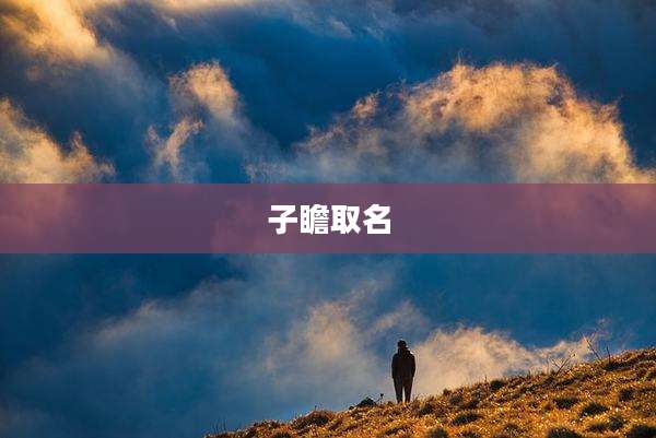 子瞻取名