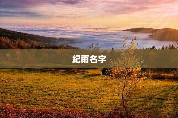 纪雨名字