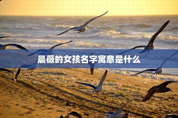 晨薇的女孩名字寓意是什么