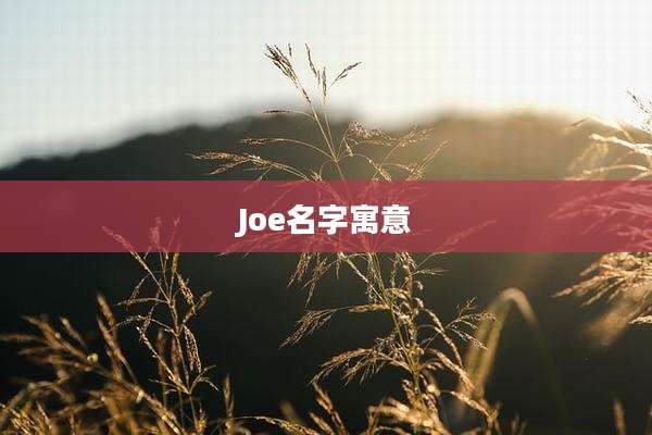 Joe名字寓意