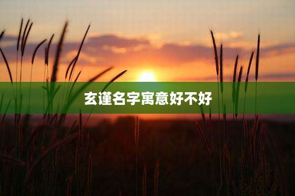 玄谨名字寓意好不好