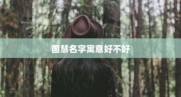 国慧名字寓意好不好