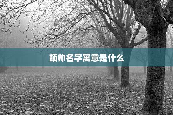 颉帅名字寓意是什么