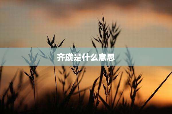 齐璜是什么意思