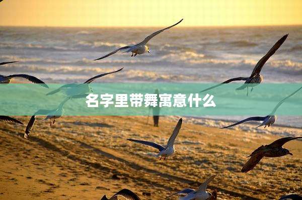 名字里带舞寓意什么