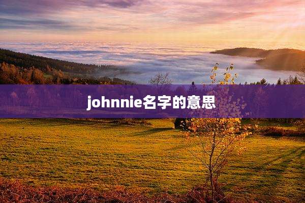johnnie名字的意思