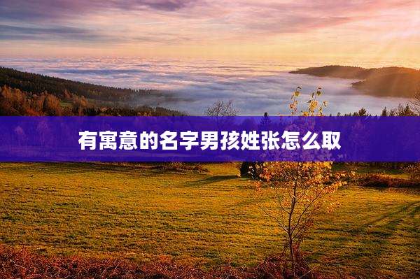 有寓意的名字男孩姓张怎么取