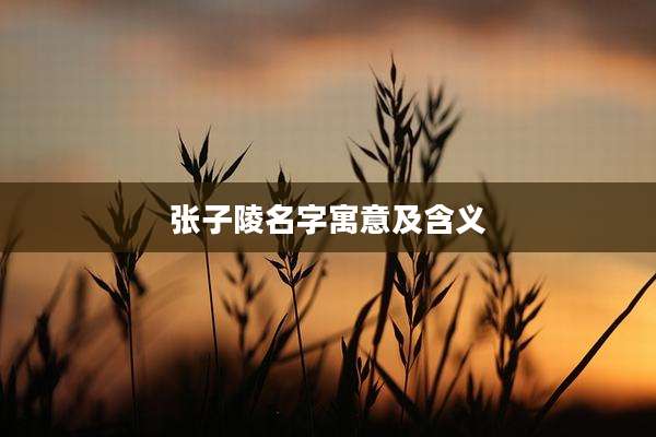 张子陵名字寓意及含义