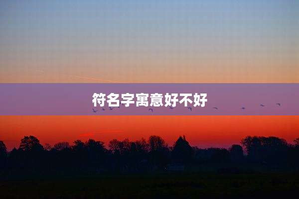 符名字寓意好不好