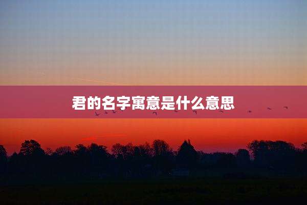 君的名字寓意是什么意思