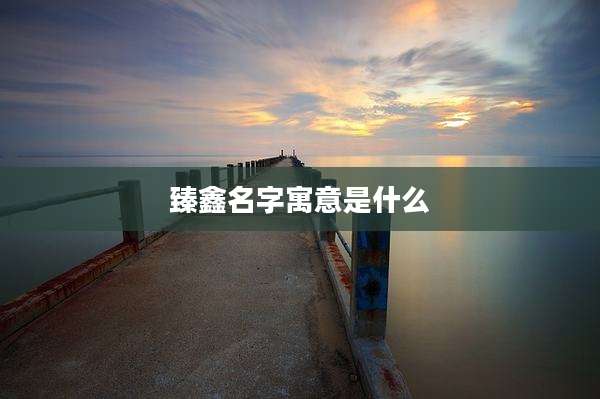 臻鑫名字寓意是什么