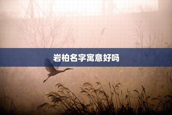 岩柏名字寓意好吗
