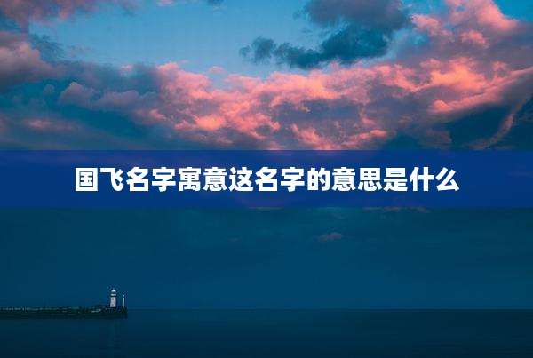 国飞名字寓意这名字的意思是什么