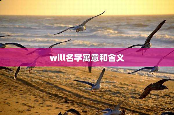will名字寓意和含义