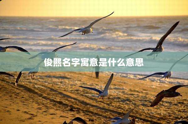 俊熙名字寓意是什么意思