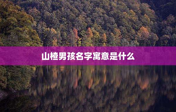 山楂男孩名字寓意是什么