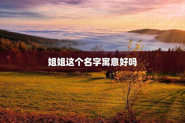 姐姐这个名字寓意好吗