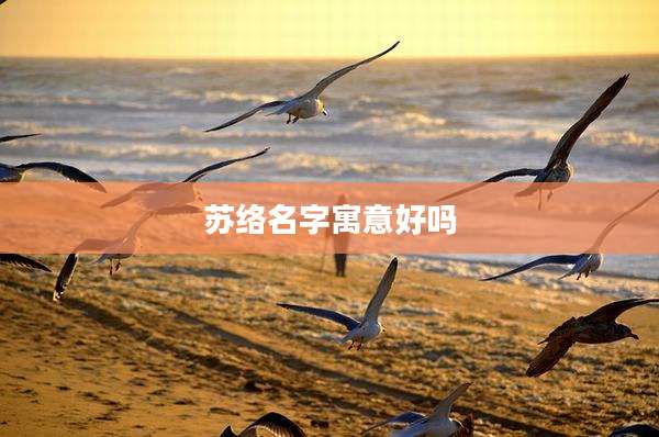 苏络名字寓意好吗