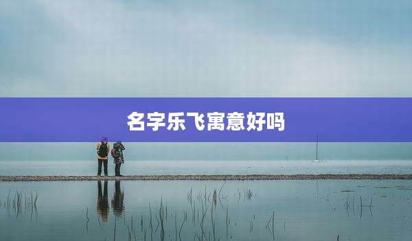 名字乐飞寓意好吗