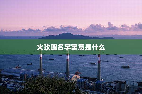 火玫瑰名字寓意是什么
