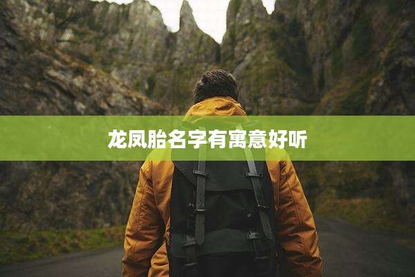 龙凤胎名字有寓意好听