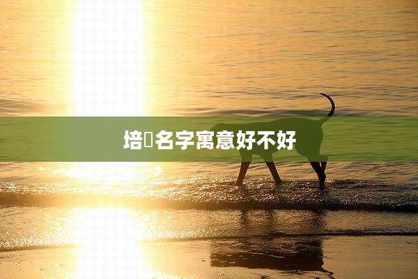 培晞名字寓意好不好