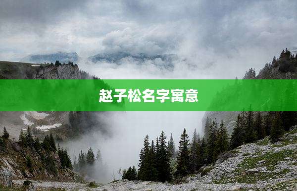 赵子松名字寓意