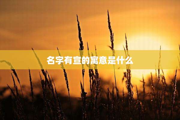 名字有宣的寓意是什么