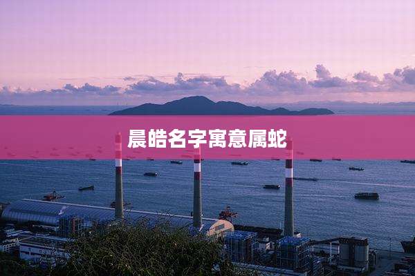 晨皓名字寓意属蛇