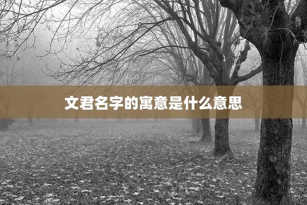 文君名字的寓意是什么意思