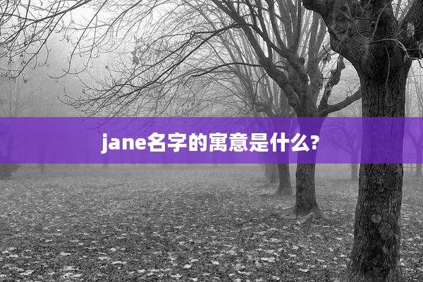 jane名字的寓意是什么?