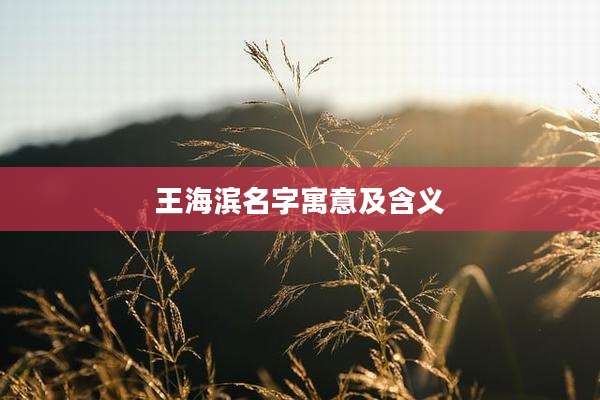 王海滨名字寓意及含义