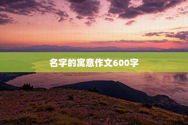 名字的寓意作文600字