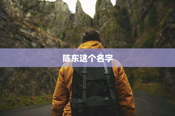 陈东这个名字