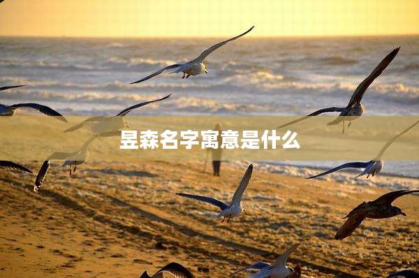 昱森名字寓意是什么