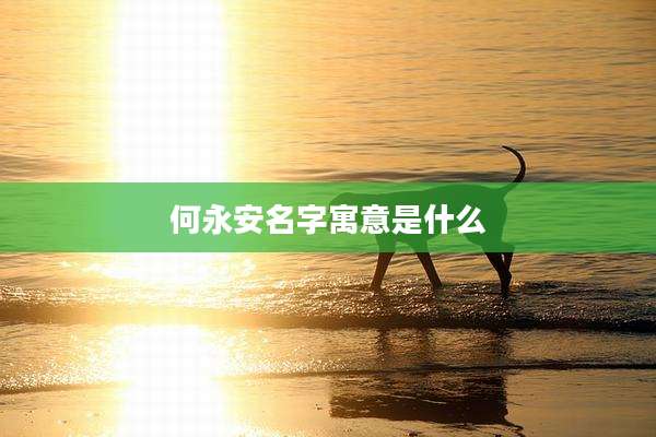 何永安名字寓意是什么