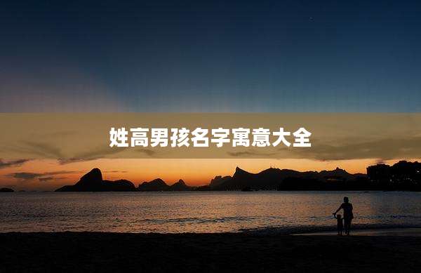 姓高男孩名字寓意大全